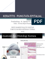 Keratitis Pungtata Epitalial