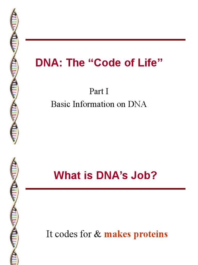 Understanding DNA: Structure & Function | PDF | Foreign Language Studies