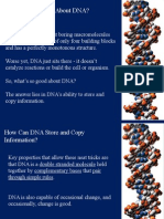 2 Dna Structure and Replication