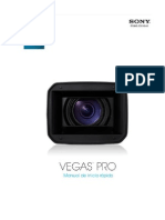 Manual Sony Vegas Pro10