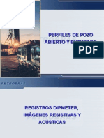 Perfiles de Pozo Abierto y Entubado