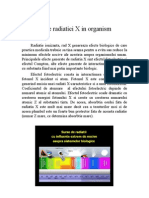 WWW - Referate.ro-Efedctele Radiatiei X in Organism 3b815
