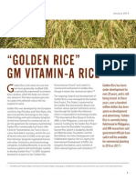 Golden Rice Factsheet Cban Web