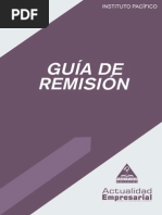 lv2013_guias_remision.pdf