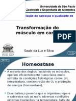 Transformação Do Músculo em Carne