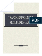 TRANSFORMACION DEL MUSCULO EN CARNE.pdf