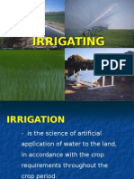 3.1. Irrigating
