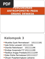 Contoh Jsa Mobile Crane