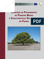Manual Do Pinheiro Manso 1369127663