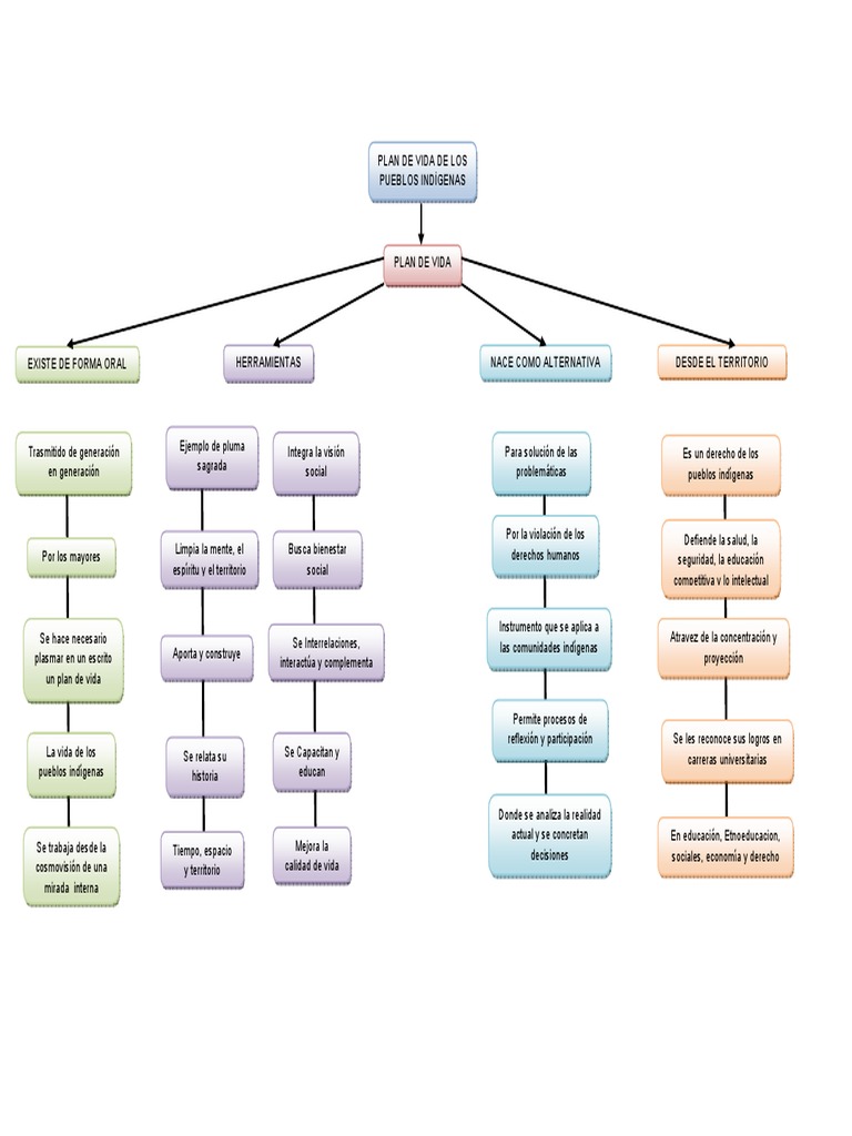 Mapa Conceptual Plan de Vida de Los Pueblos Indígenas