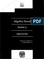 Algebra lineal teoría y ejercicios.pdf