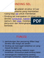 DINDING SEL FUNGSI