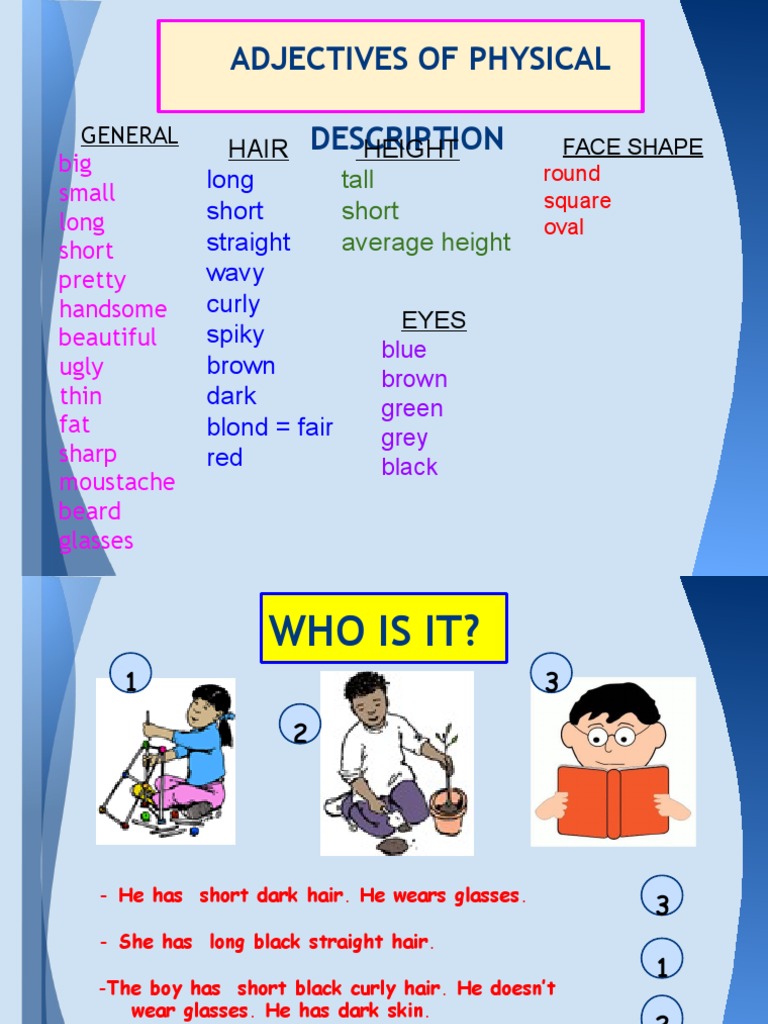 Adjectives of Physical Description | Hair | Fashion | Free 30-day Trial