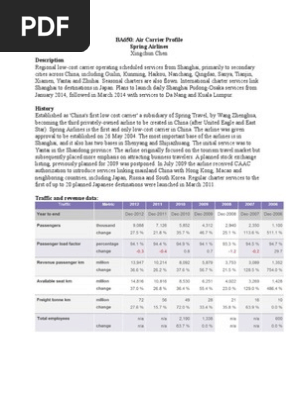 Air Carrier Profile.docx