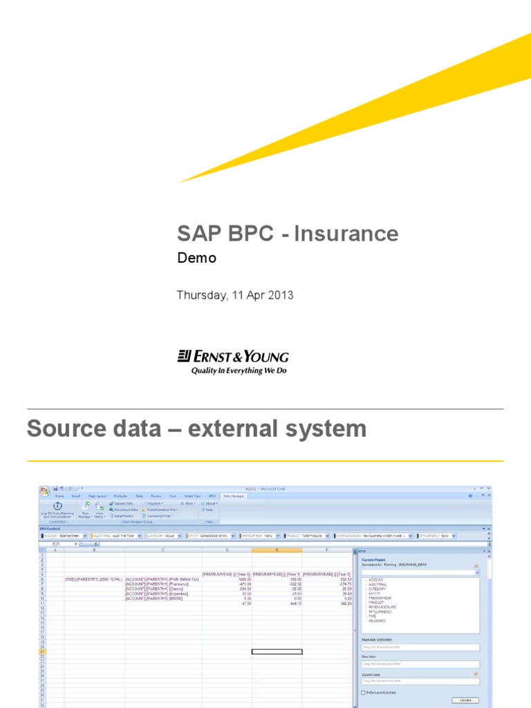 SAP BPC Insurance Financial Overview | PDF | Business | Technology ...