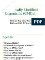 GMOs: What Are They and How Do They Impact Our Health and Environment