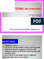 Apoptosis: An Overview: - Submitted By-Anjali Rai MSC Prev - Biotech