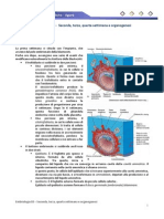 Embriologia 03 - Seconda, Terza, Quarta Settimana e Organogenesi
