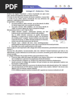 Istologia 17 - Endocrino - Timo