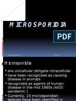 Microsporidia 14
