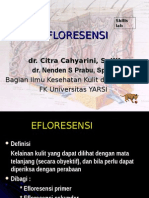 EFLORESENSI DR Citra
