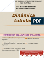 Dinámica Tubular