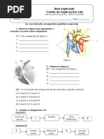 A.4 - Transporte de Nutrientes e Oxigénio - Teste Diagnóstico (2)