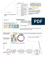 cells part 1- structures, processes and cycle