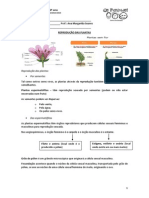 A Reprodução Das Plantas 6º Ano