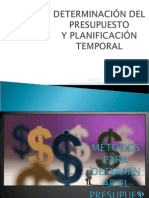 Determinación Del Presupuesto y Planificación Temporal