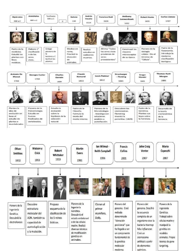 Linea de Tiempo Historia de La Biologia | PDF
