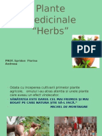 Plante Medicinale