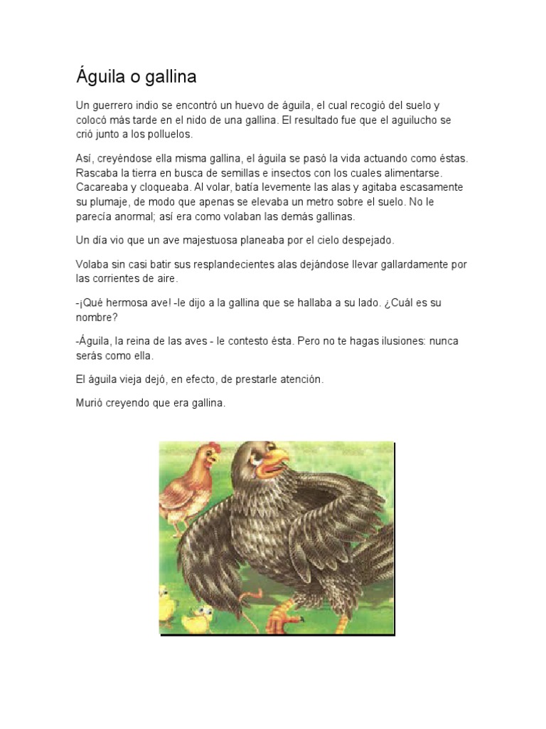 Águila o Gallina | PDF | Pollo | Aves