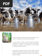 Leite e as boas praticas