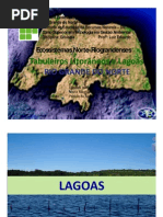 Trabalho Tabuleiros Litorâneos_Local.pptx