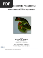 Download LAPORAN HASIL PRAKTIKUM Biologi Sistem Peredaran Darah Pada Katak by Ayu Rhen AR SN261981305 doc pdf