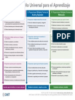 Principios DUA- Organizador gráfico