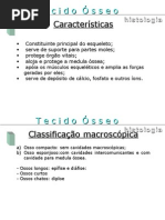 Tecido osseo 