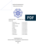 Askep Nifas Patologi