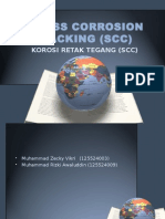 Stress Corrosion Cracking (SCC)