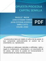 _Capital Semilla Propuesta