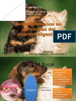 patologias_del_sistema_digestivo.ppt