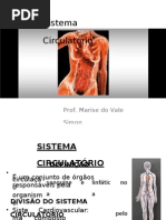 (343028439) Sistema Circulatório