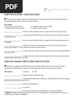 1. Nervous System Worksheet