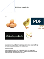 Download All About Ayam Broiler by BakrieCakep SN262022058 doc pdf