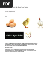 Download All About Ayam Broiler by BakrieCakep SN262022058 doc pdf