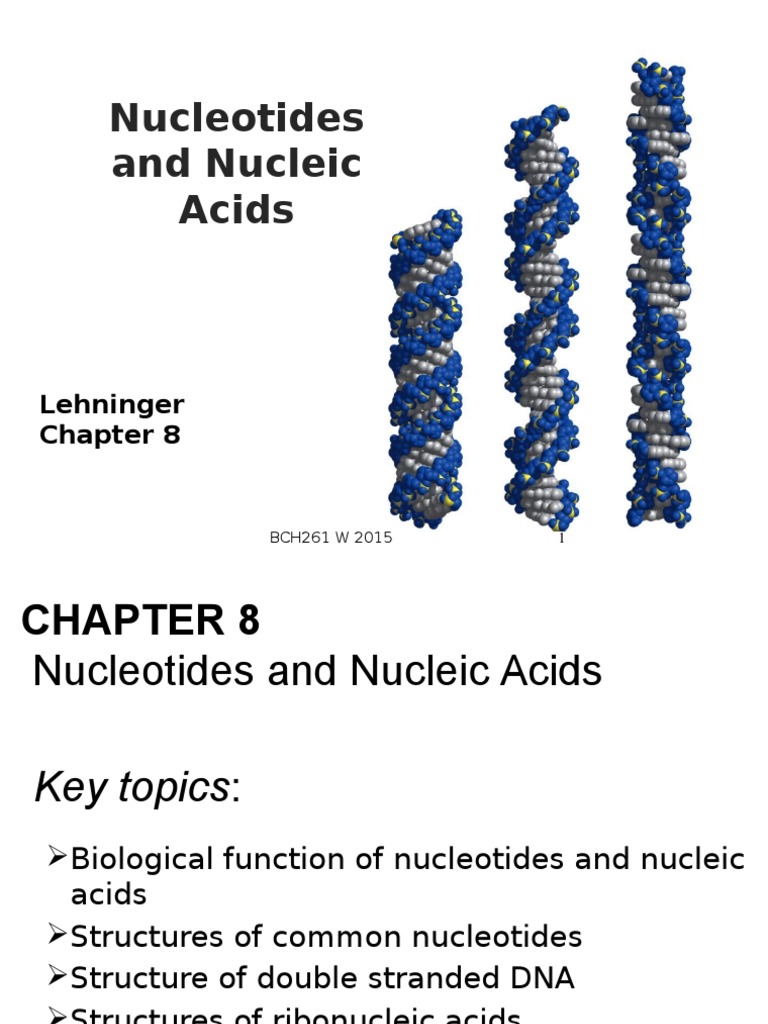 Nucleotides and Nucleic Acids Overview | PDF | Rna | Nucleotides