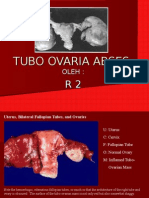 Tubo Ovaria Abses