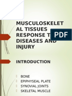 Musculoskeletal Tissues Response To Diseases and Injury