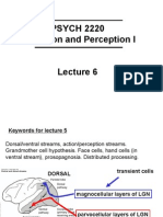 PSYCH 2220 Sensation and Perception I